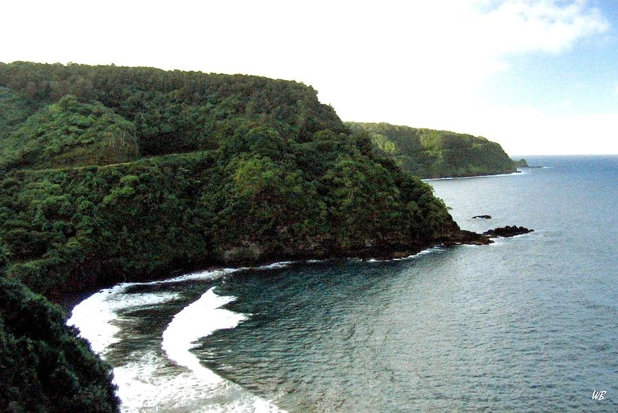 Highway To Hana Photograph by Will Borden