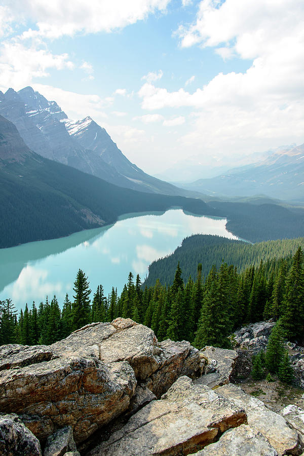 Hike lookout at Peyto Lake Photograph by Winson Tang | Fine Art America