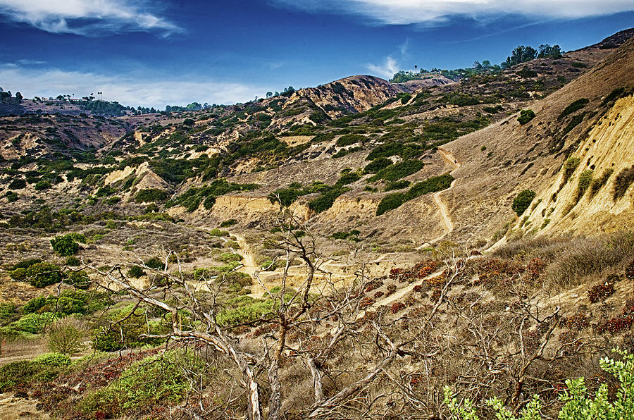 Hike Portuguese Bend Photograph by Joseph Hollingsworth