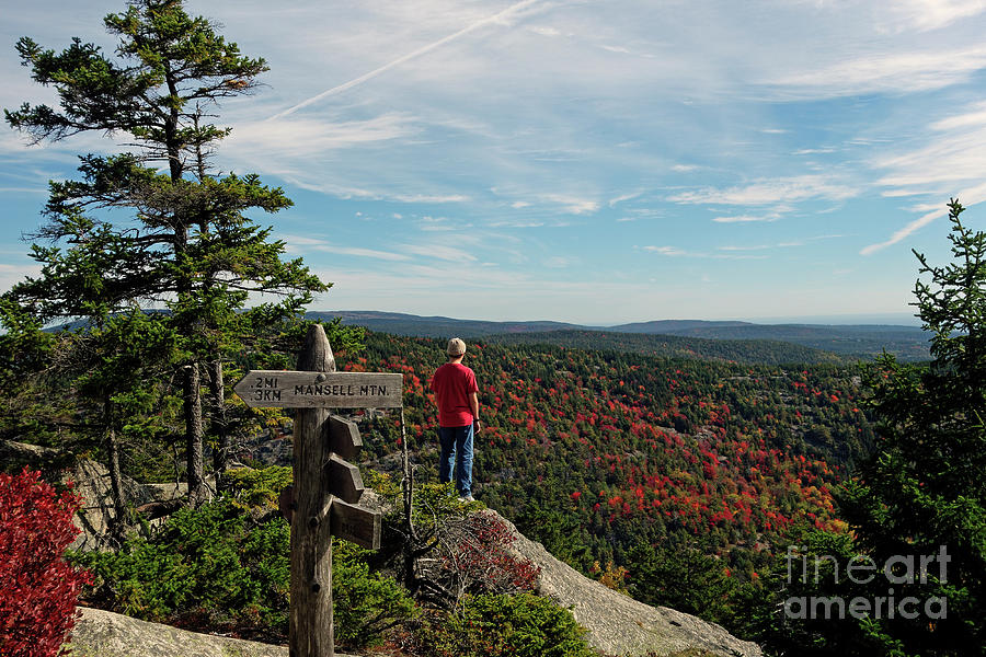 Hiker in Acadia National Park Photograph by Kevin Shields