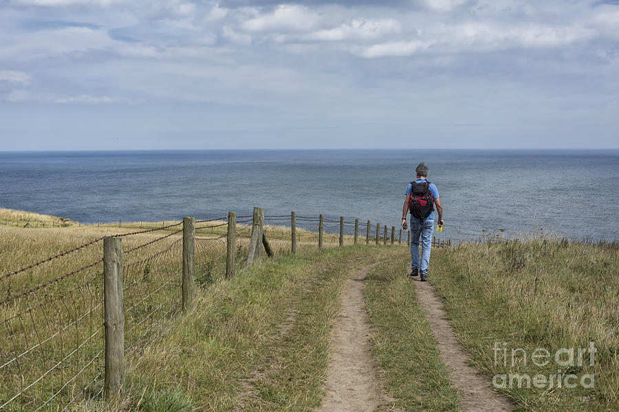 Hiker on coastal path in North Yorkshire Photograph by Patricia Hofmeester