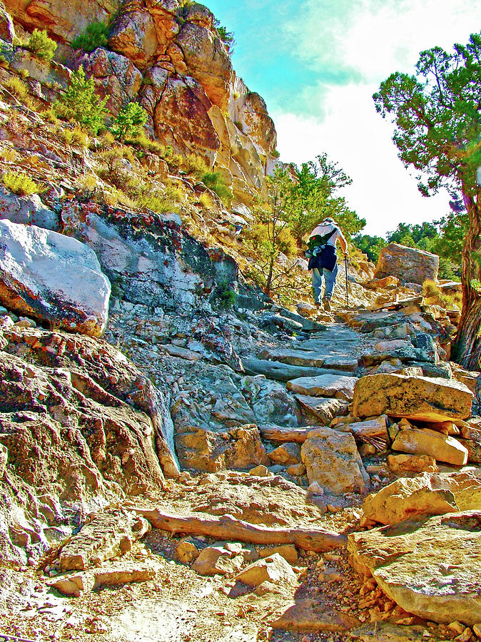 Hiker on Steep Part of Hermits Trail at West End of South Rim in Grand Canyon National Park-Arizona Photograph by Ruth Hager