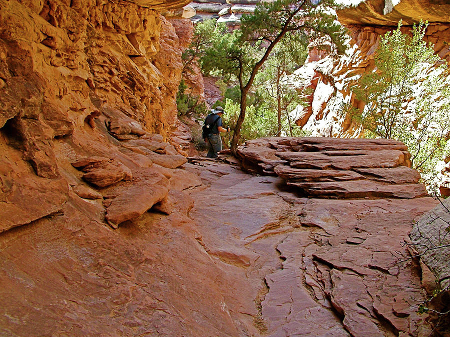  Hiker on Trail to Chesler Park Viewpoint in  Needles District in  Canyonlands National Park, Utah Photograph by Ruth Hager