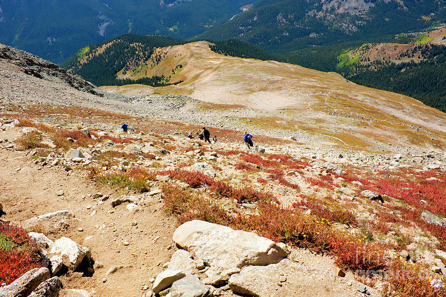 Hikers Descending  Mount Yale Colorado Photograph by Steven Krull
