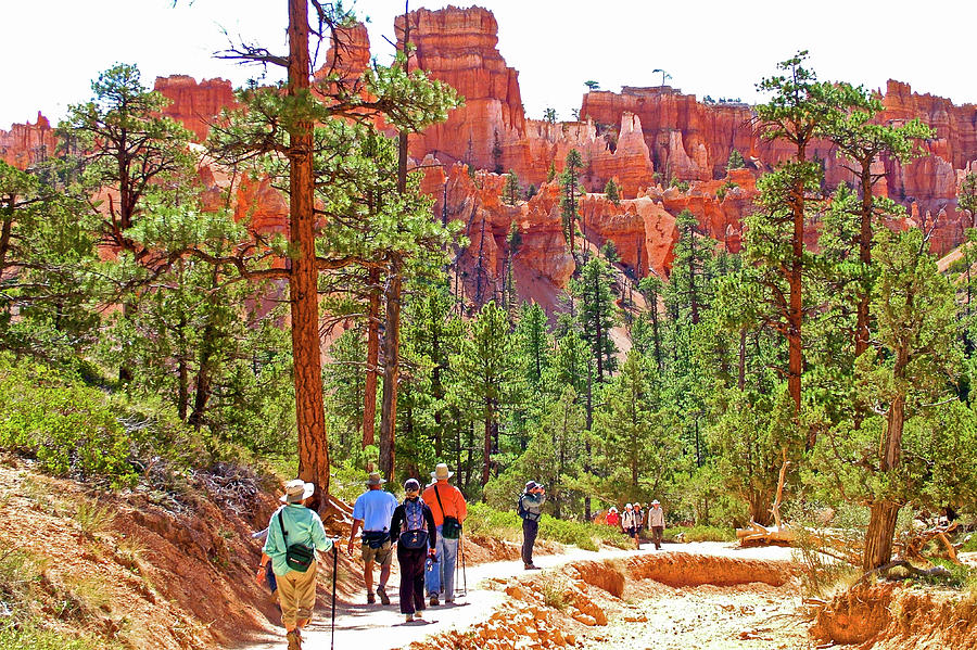 Hikers on Navajo Trail in  Bryce Canyon National Park, Utah  Photograph by Ruth Hager