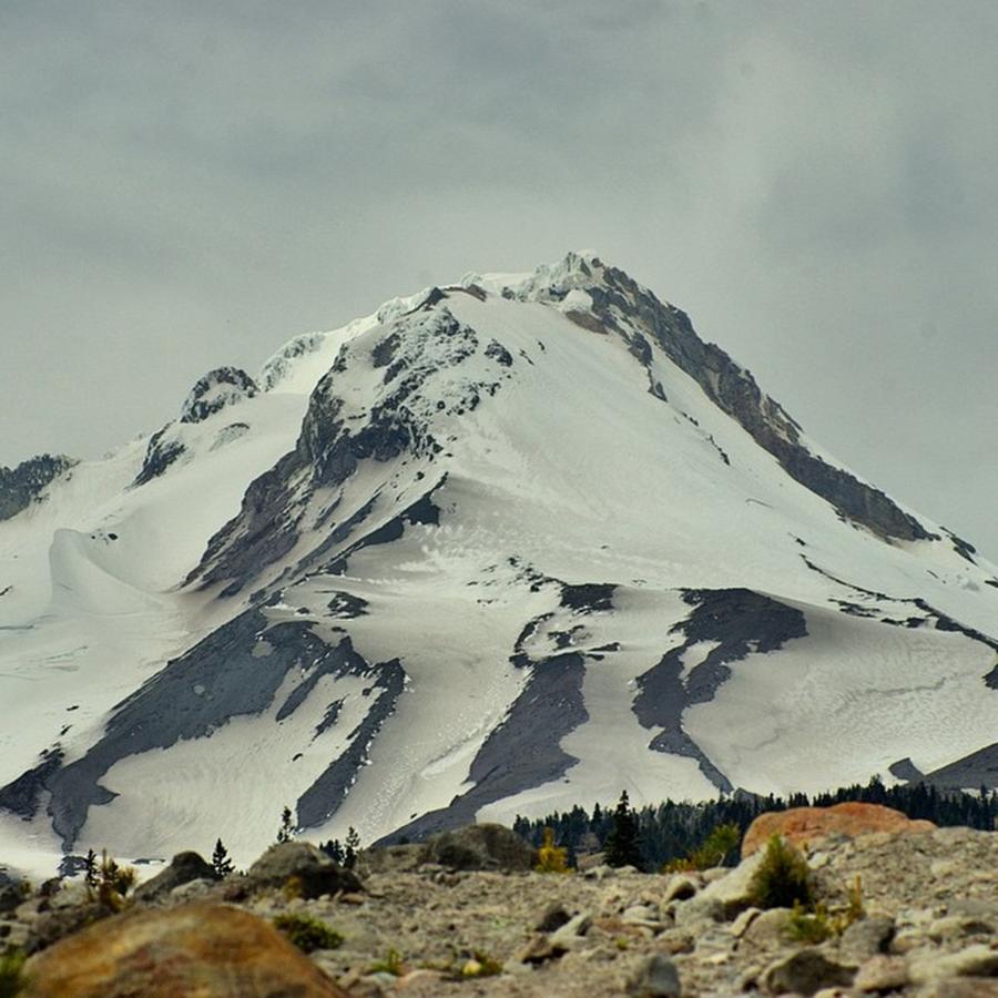 Oregon Photograph - Hiking Around The East Side Mt. Hood On by Mike Warner