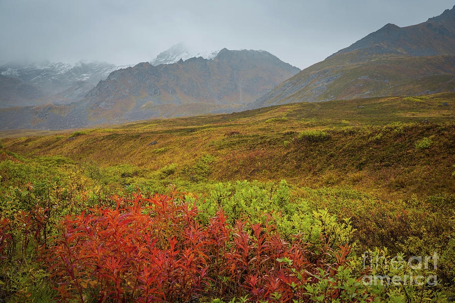Hiking at Hatcher Pass Photograph by Eva Lechner