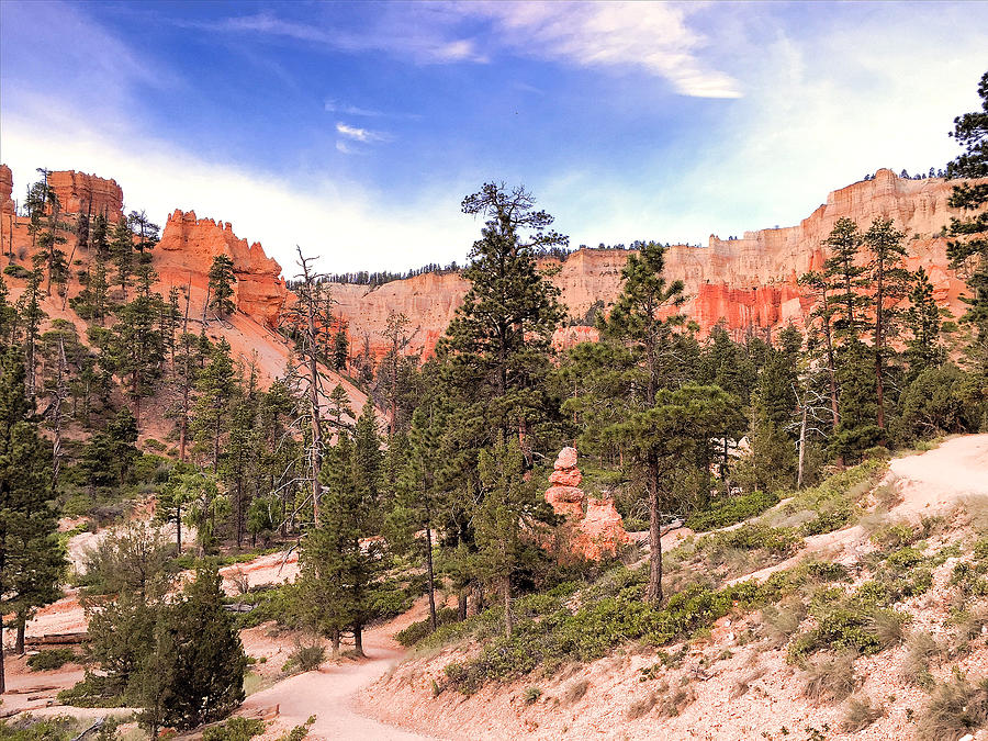 Hiking Bryce Canyon Photograph by Robert Meyers-Lussier