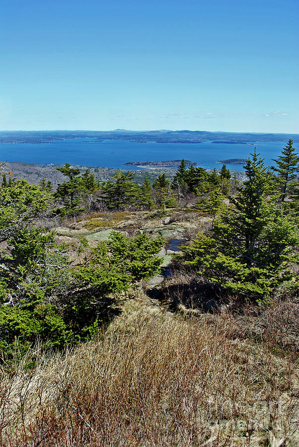 Hiking Cadillac Mountain Photograph by Skip Willits