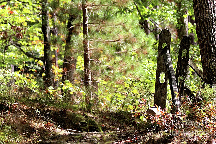 Hiking In Brown County State Park Southern Indiana Photograph by Scott D Van Osdol