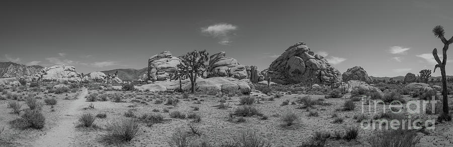 Hiking In Joshua Tree Pano BW Photograph by Michael Ver Sprill