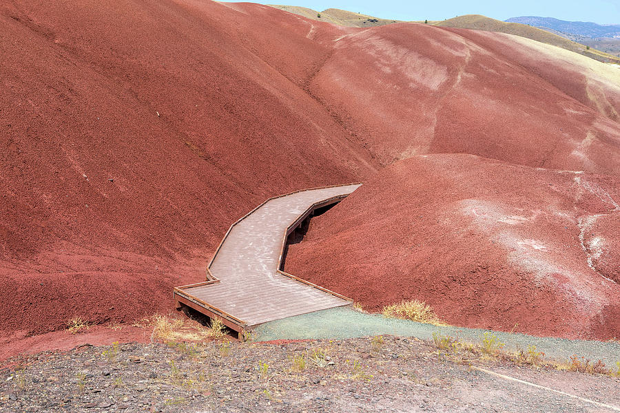 Hiking Loop Boardwalk at Painted Hills Cove Photograph by David Gn