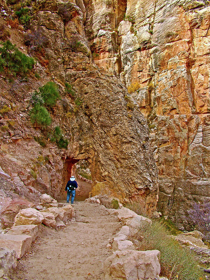 Hiking on Bright Angel Trail on South Rim of Grand Canyon National Park-Arizona  Photograph by Ruth Hager