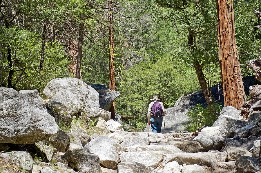 Hiking on Mirror Lake Trail in Yosemite National Park, California  Photograph by Ruth Hager