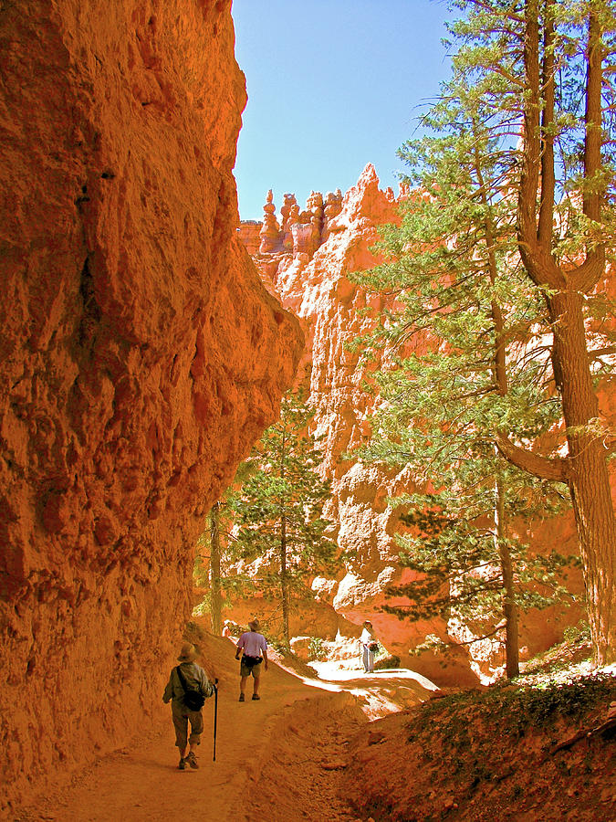 Hiking on Navajo Trail in Bryce Canyon National Park, Utah Photograph by Ruth Hager