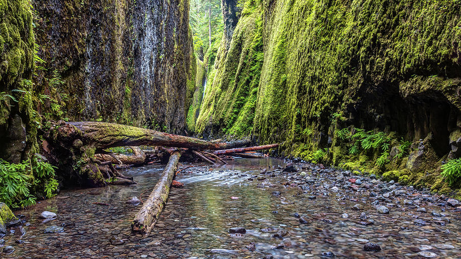 Hiking Oneonta Gorge Photograph by Pierre Leclerc Photography