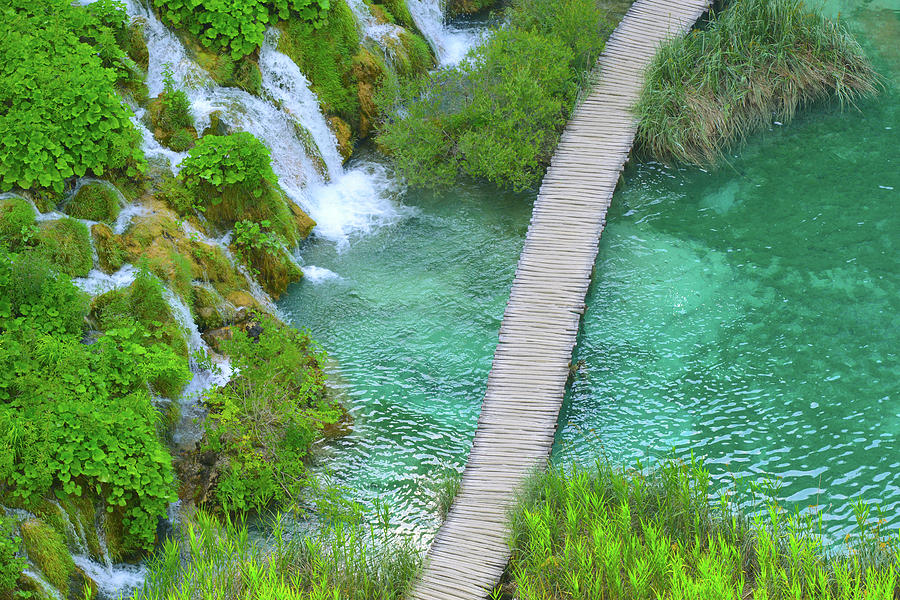 Hiking Path in Plitvice National Park Croatia Photograph by Brandon Bourdages