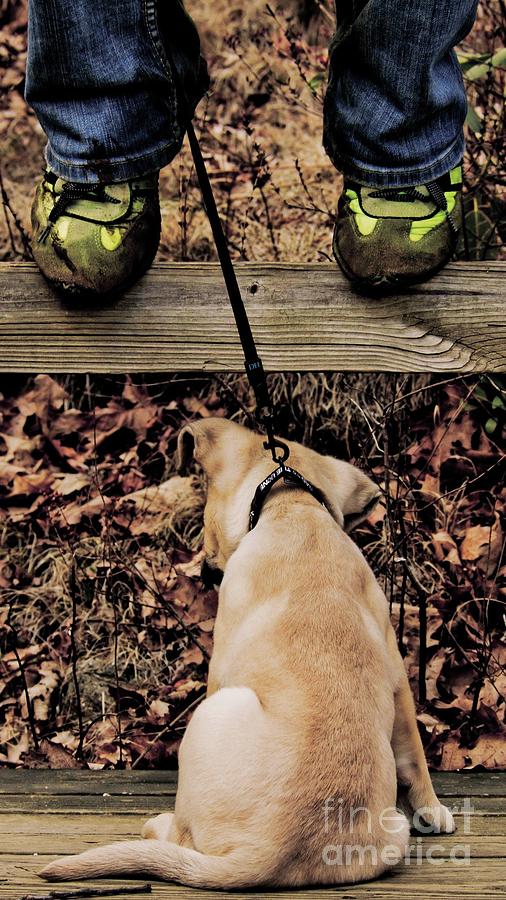 puppy hiking