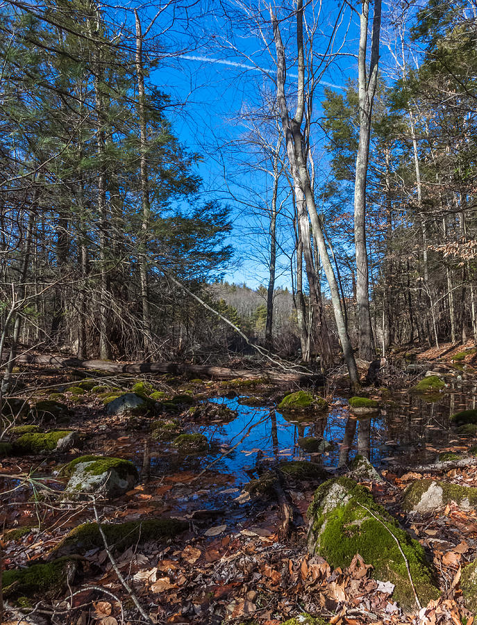 Hiking Reflections at Wompatuck State Park Photograph by Brian MacLean