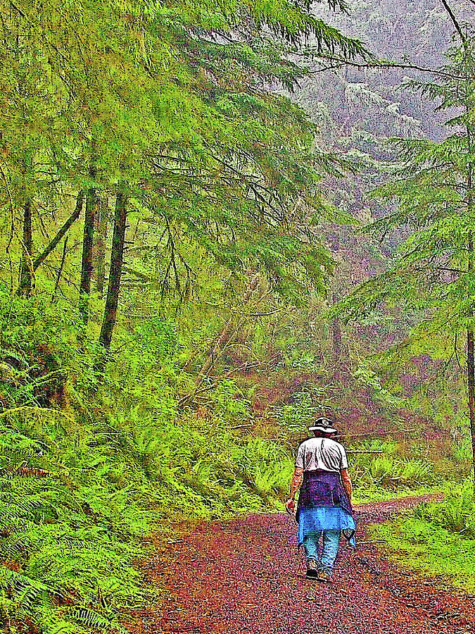 Hiking the Clatsop Loop Trail in Ecola State Park, Oregon Photograph by Ruth Hager