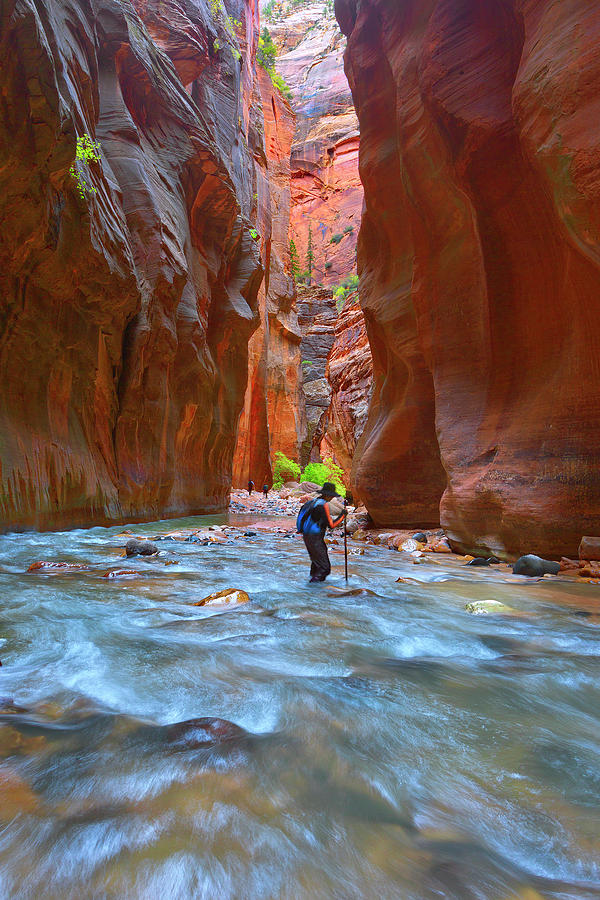 Hiking the Narrows Photograph by Brian Knott Photography