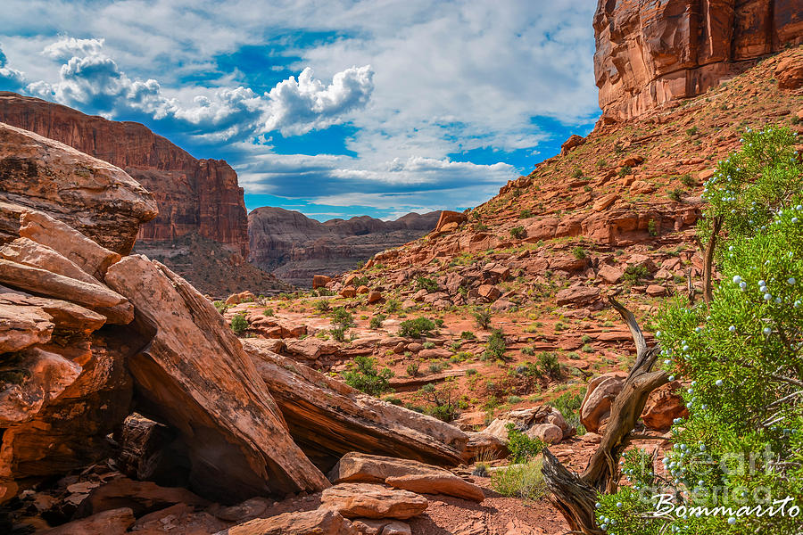 Hiking the Redrock Country of SE Utah. Photograph by Jim Bommarito ...