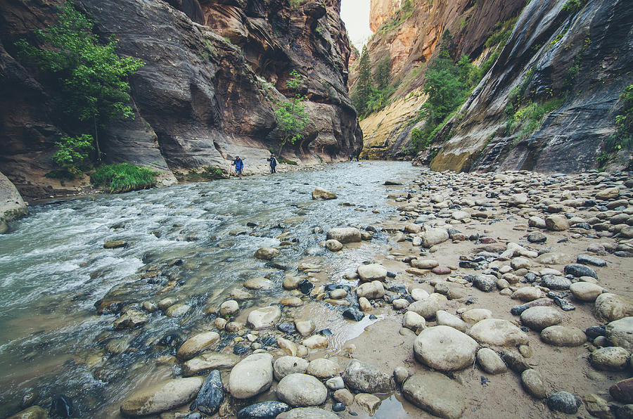 Hiking The Virgin River Photograph by Margaret Pitcher