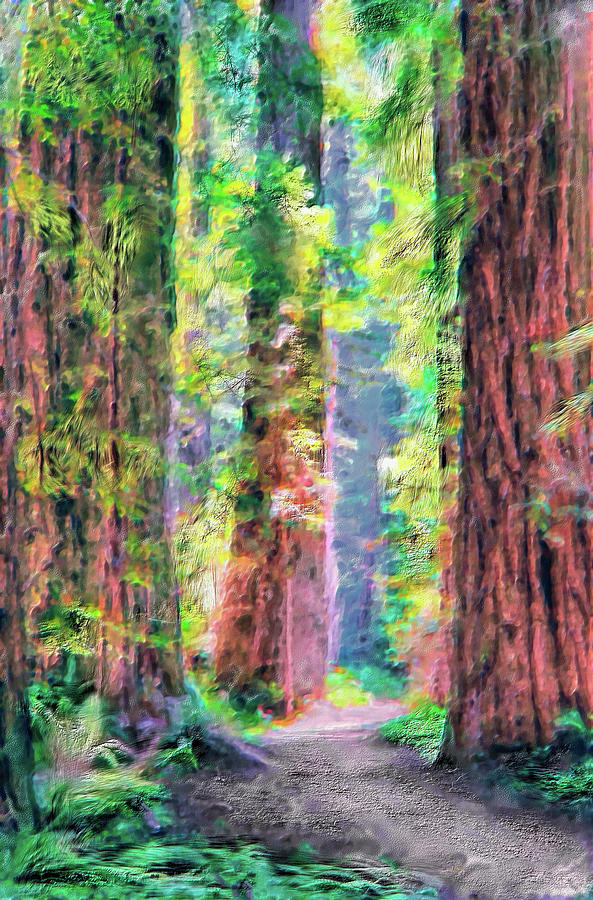 Hiking Through Three Redwood Trees AP Painting by Dan Carmichael