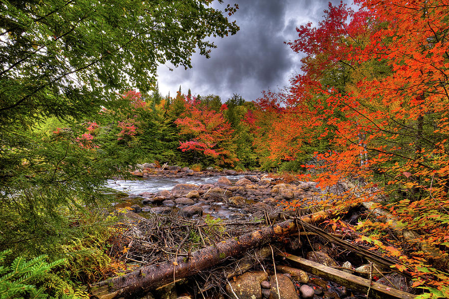 Hiking to Indian Rapids Photograph by David Patterson