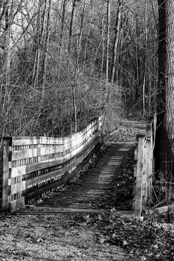 Hiking Trail Bridge 120217 BW Photograph by Mary Bedy