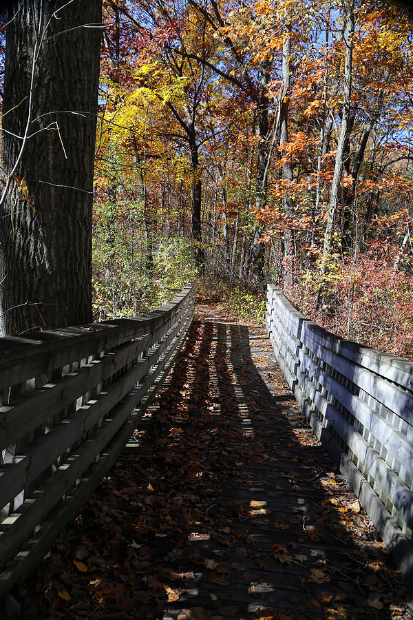 Hiking Trail Bridge in Fall 11 Photograph by Mary Bedy