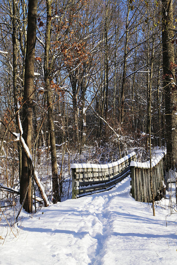 Hiking Trail Bridge in Snow 2 121417 Photograph by Mary Bedy