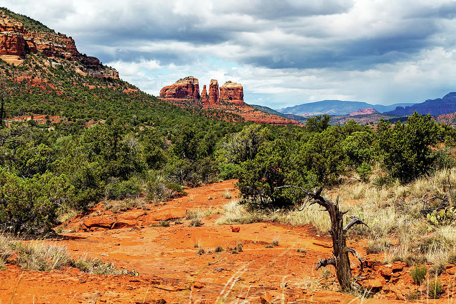 Hiking Trail in Sedona, Arizona, USA Photograph by Good Focused - Fine ...