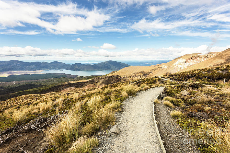 Hiking trail in Tongariro, New Zealand Photograph by Didier Marti