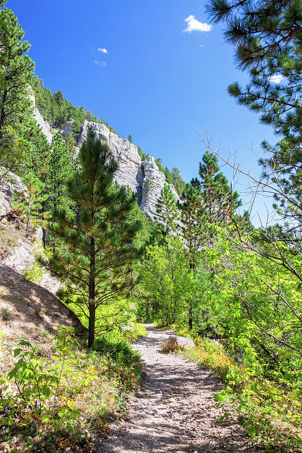 Hiking Trail in Wyoming Vertical Photograph by Jess Kraft