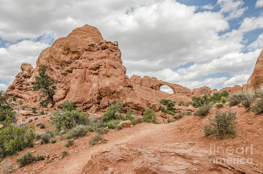 Hiking Trail To Skyline Arch Photograph