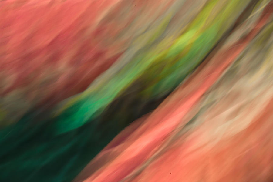 Abstract Photograph - Elation by Mah FineArt