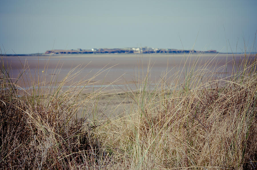 Hilbre Island through the grass Photograph by Spikey Mouse Photography