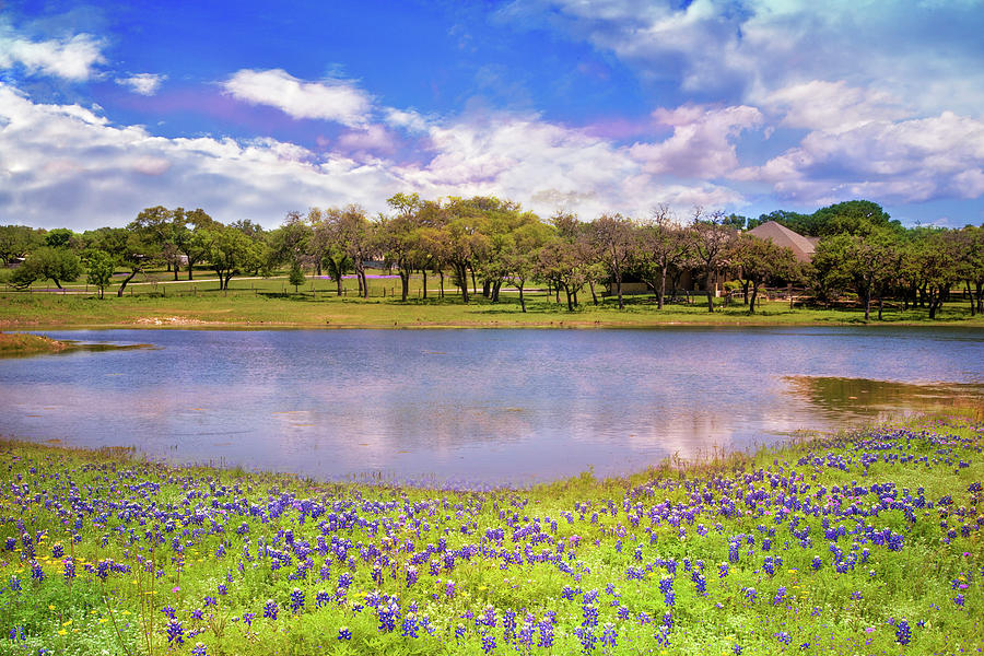 Hill Country Blues Photograph by Lynn Bauer