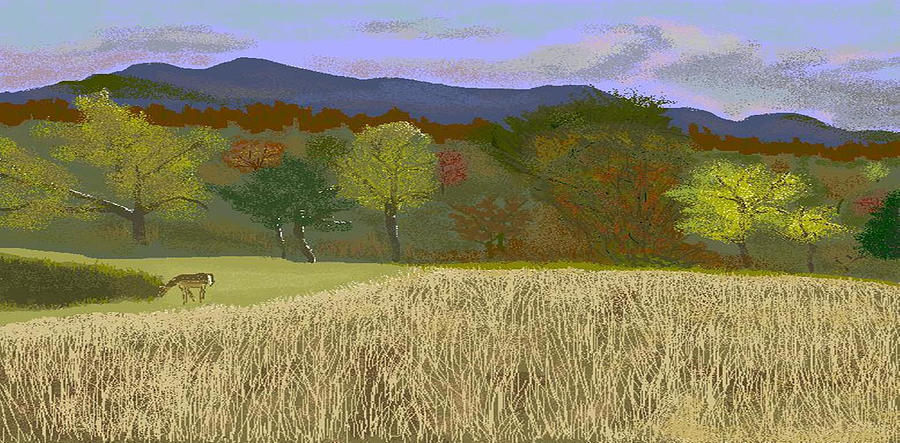 Tree Digital Art - Hill Country Colors by Carole Boyd