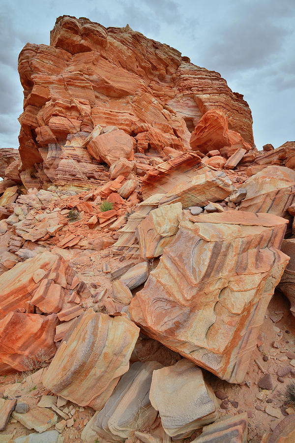 Hill of Color in Valley of Fire State Park Photograph by Ray Mathis