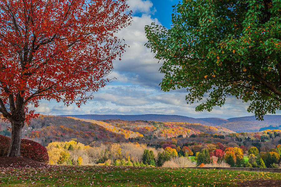 Hills of Autumn Photograph by April Reppucci