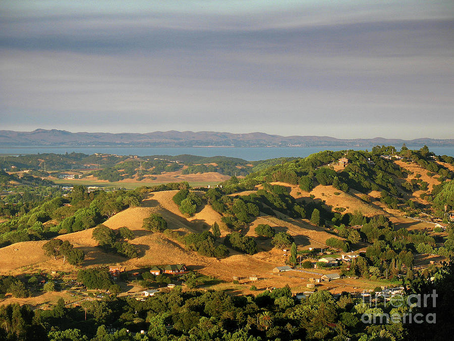 Hills of Novato, California Photograph by Wernher Krutein