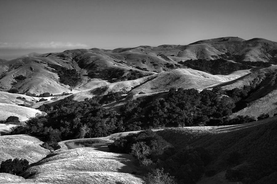 Nature Photograph - Hills of San Luis Obispo by Steven Ainsworth