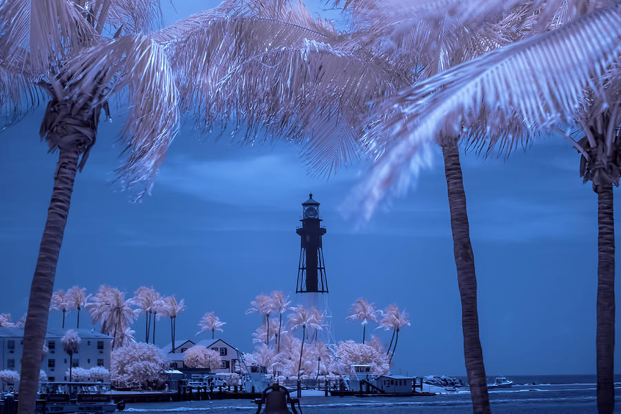 Hillsboro Inlet Lighthouse infrared Photograph by Louis Ferreira