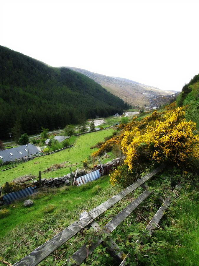 Hillside at Wicklow Gap Ireland Photograph by Lisa Victoria Proulx ...