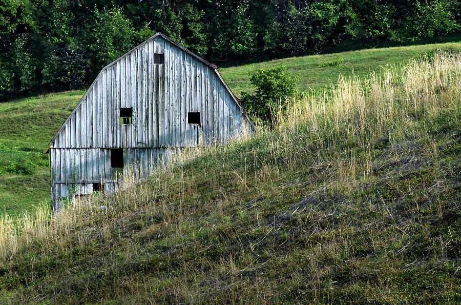 Hillside Barn Photograph by Murray Bloom