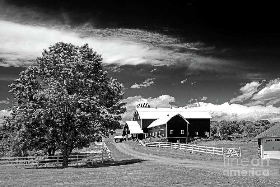 Hillside Barn Photograph by Nicki McManus