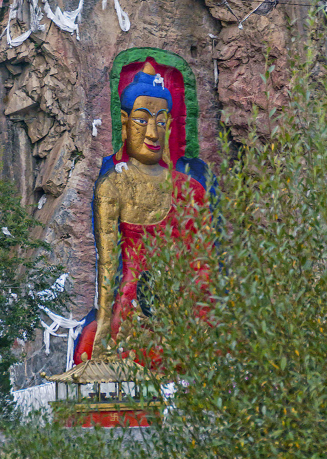 Hillside Buddha Photograph by Alan Toepfer