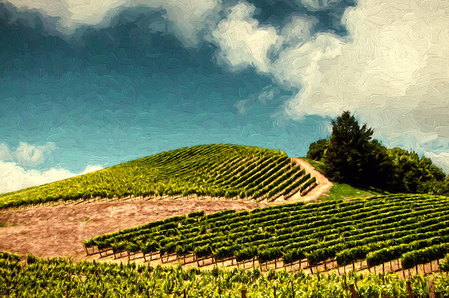 Wine Photograph - Hillside Curves by John K Woodruff